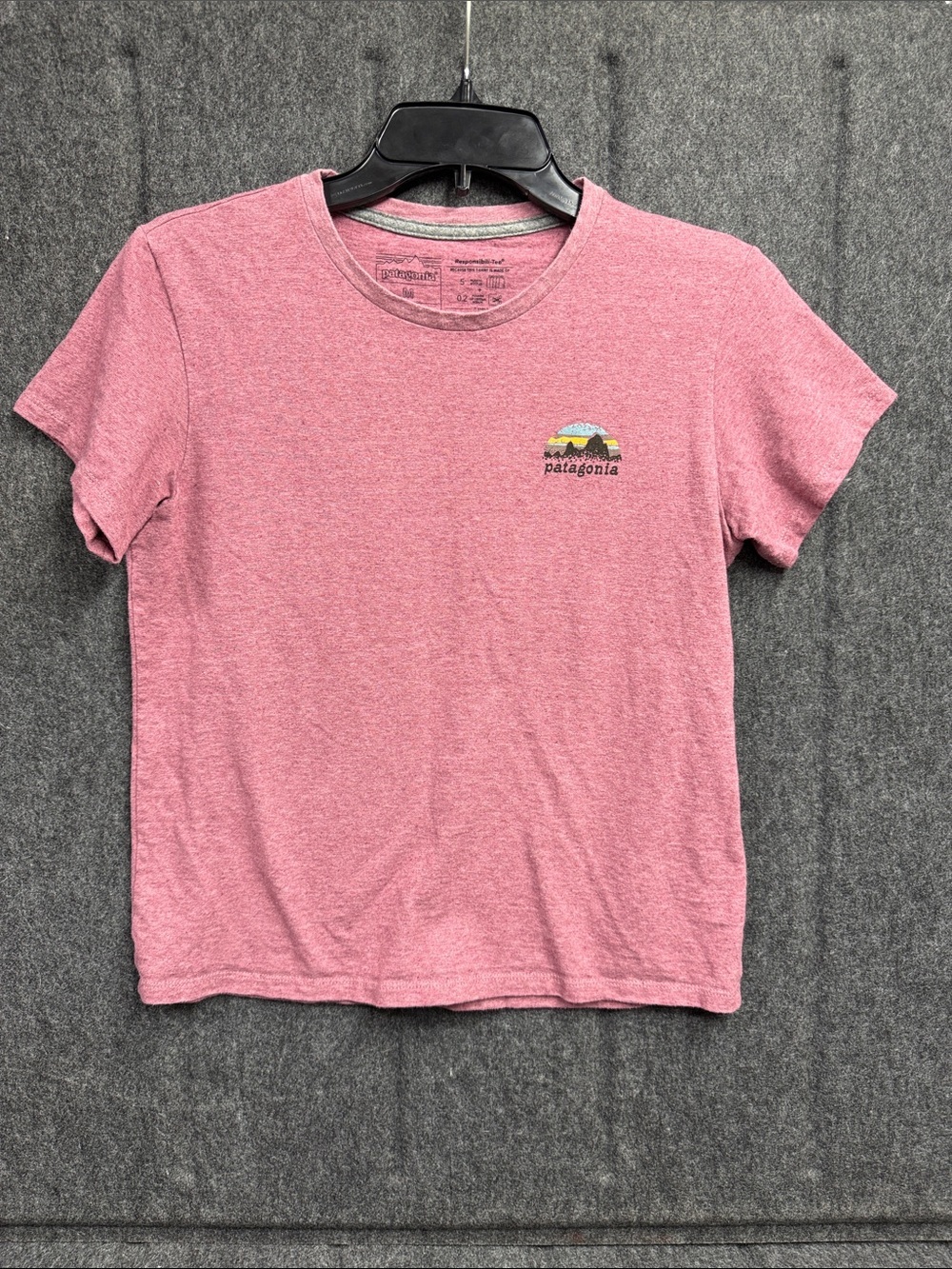 Patagonia Pink Short-Sleeve Crew Tee with Mountain Logo - Picture 1 of 7